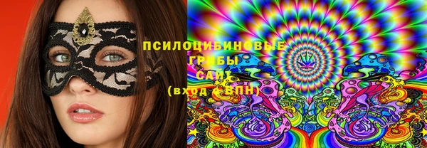соль ск Абаза