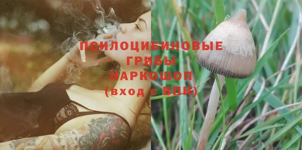дживик Алзамай