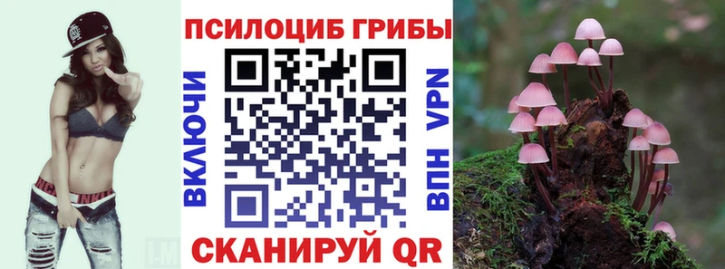 Псилоцибиновые грибы Cubensis Кирсанов